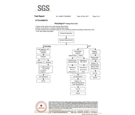 C7521-SGS 2018年_3